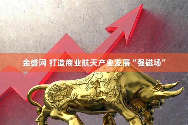 金盛网 打造商业航天产业发展“强磁场”