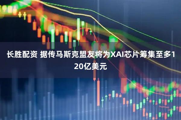 长胜配资 据传马斯克盟友将为XAI芯片筹集至多120亿美元