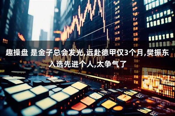 趣操盘 是金子总会发光,远赴德甲仅3个月,樊振东入选先进个人,太争气了